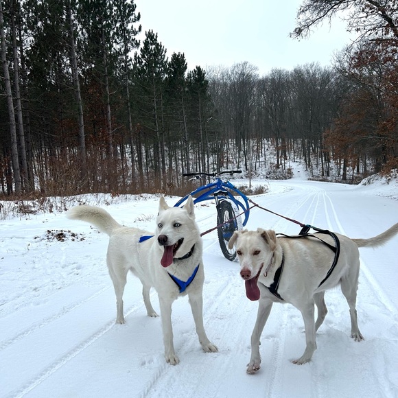 Meet your Posher, Rebecca - Picture 14 of 14